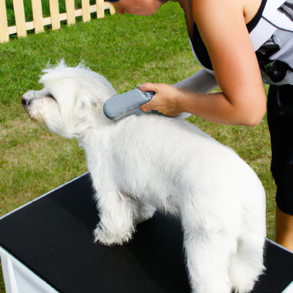 Person grooming a dog professionally